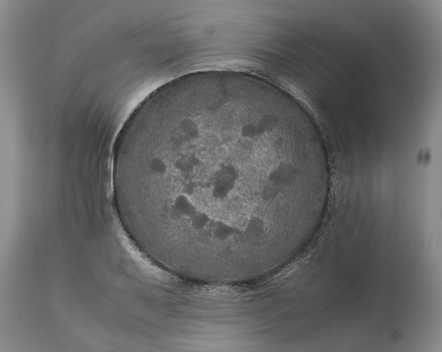 X0000113601079200910021735