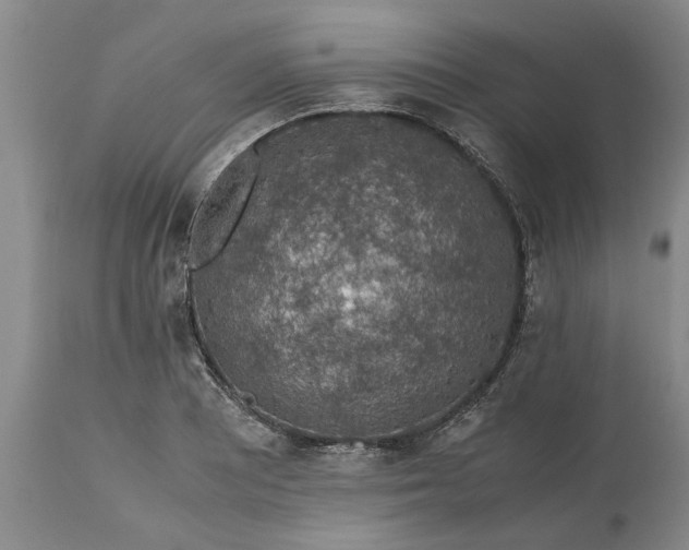 X0000113601081200910021735