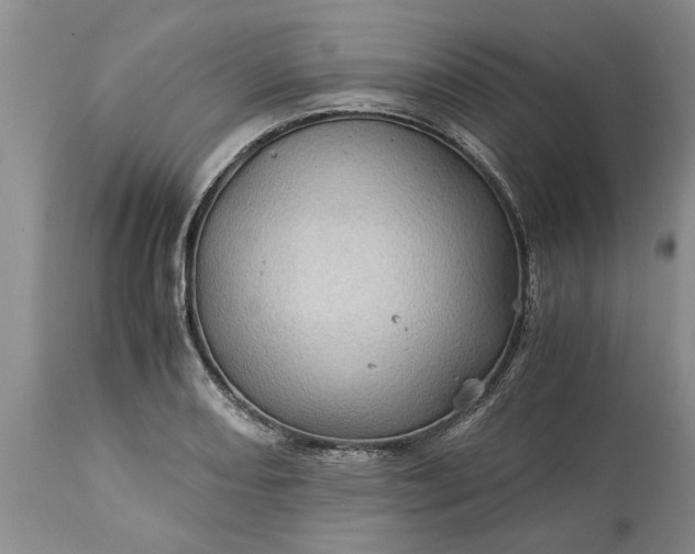 X0000113601082200910021735