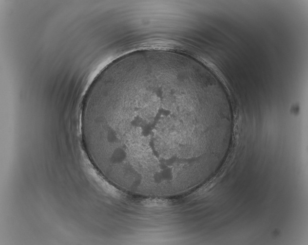 X0000113601083200910021735