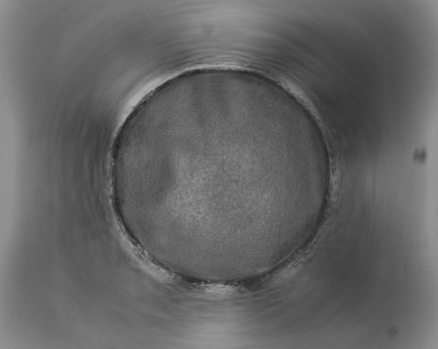 X0000113601085200910021735