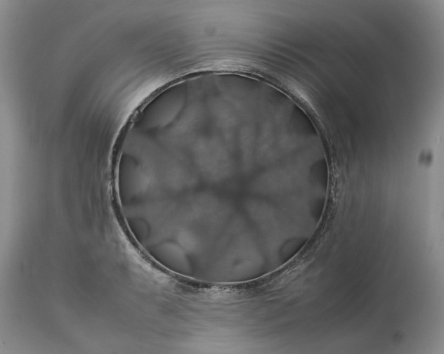 X0000113601087200910021735