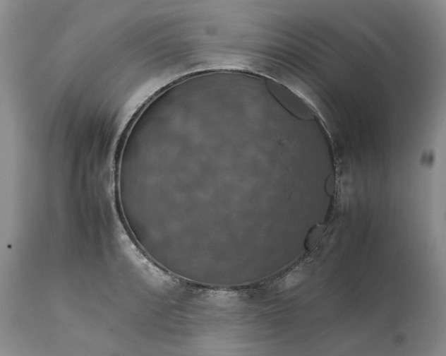 X0000113601088200910021735