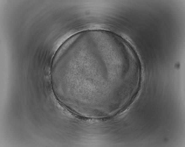 X0000113601089200910021735