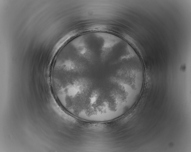 X0000113601090200910021735