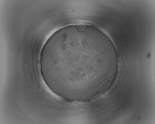 X0000113601091200910021735