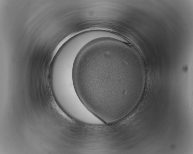 X0000113601092200910021735