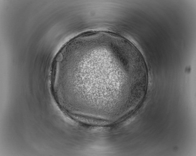 X0000113601093200910021735