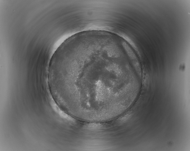 X0000113601094200910021735