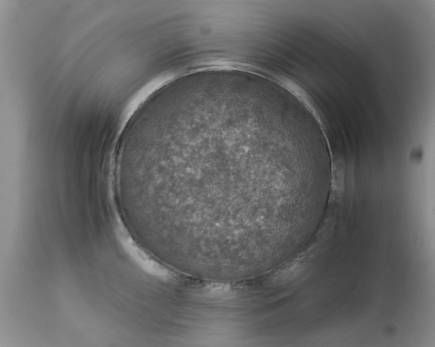 X0000113601098200910021735