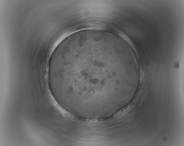 X0000113601099200910021735