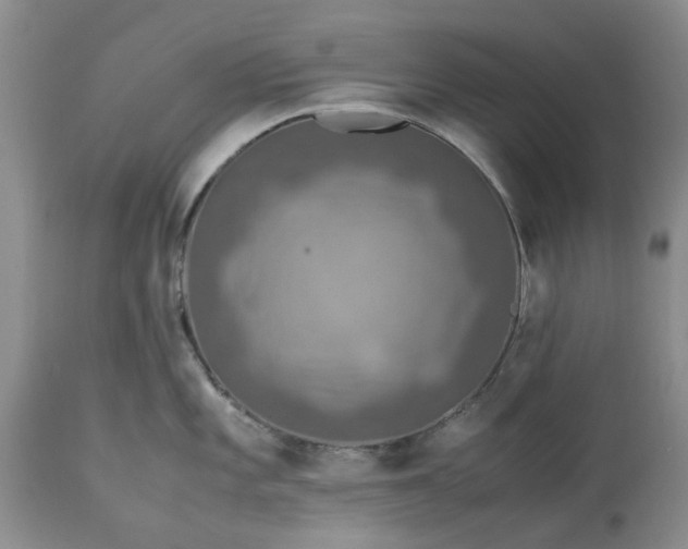 X0000113601101200910021735