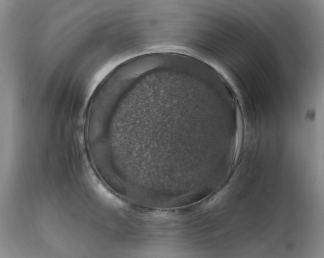 X0000113601102200910021735