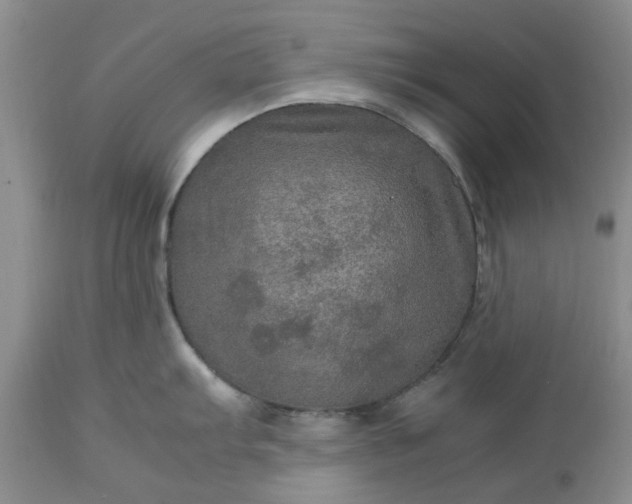 X0000113601103200910021735