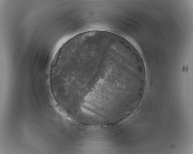 X0000113601104200910021735