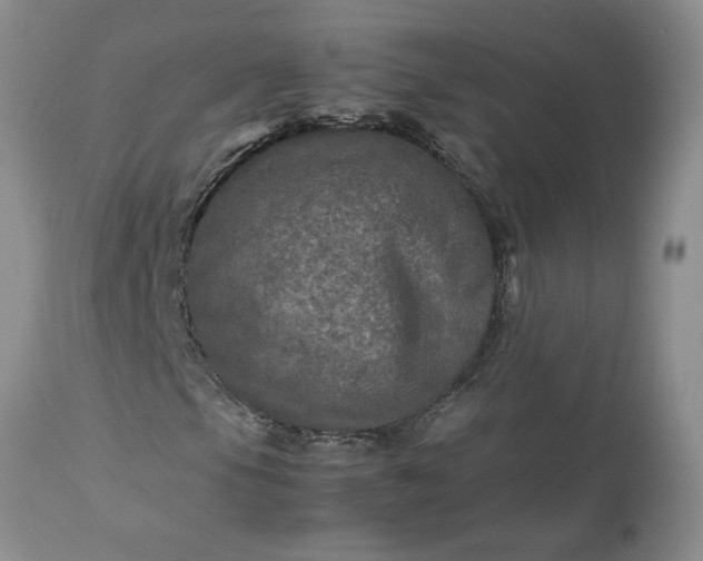 X0000113601105200910021734