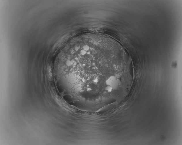 X0000113601106200910021734