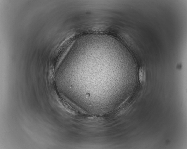 X0000113601107200910021734