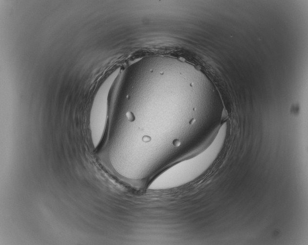 X0000113601108200910021734