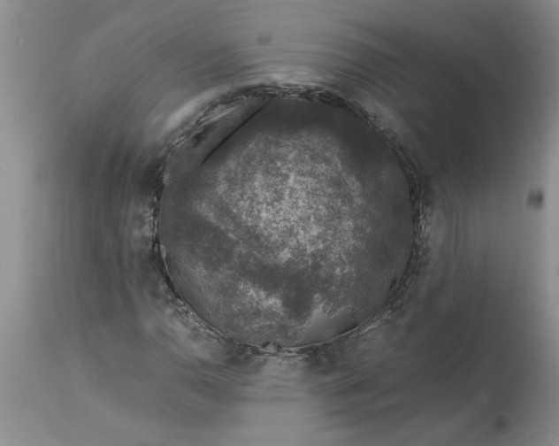 X0000113601110200910021734