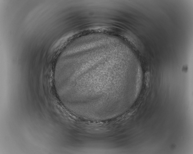 X0000113601111200910021734