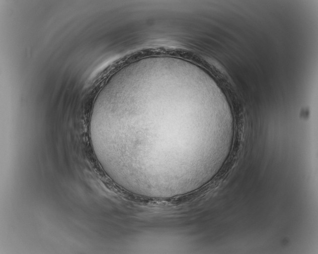 X0000113601112200910021734