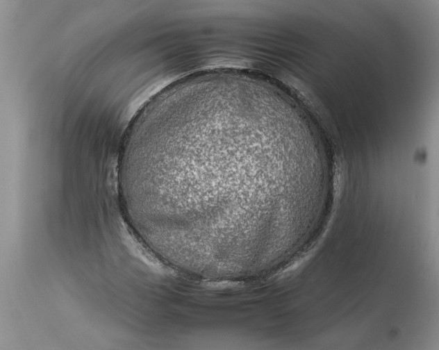 X0000113601113200910021734