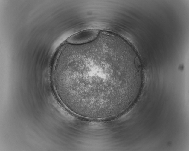 X0000113601114200910021734