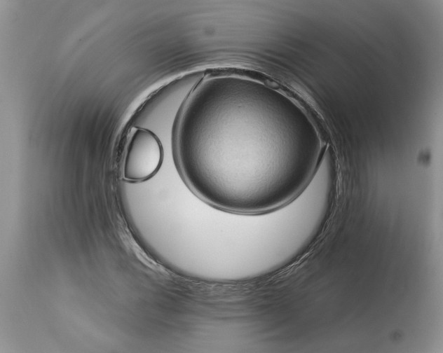 X0000113601116200910021734