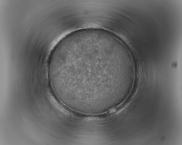 X0000113601118200910021734