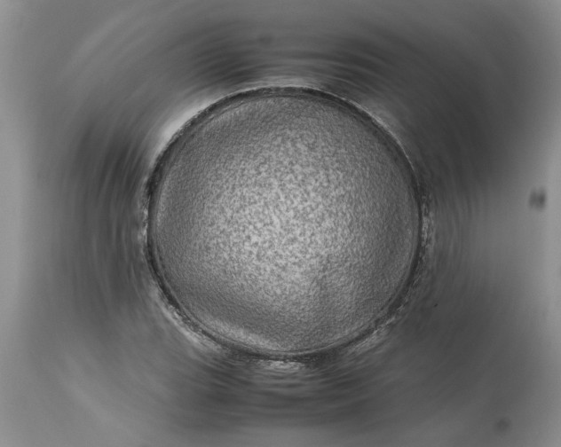 X0000113601119200910021734