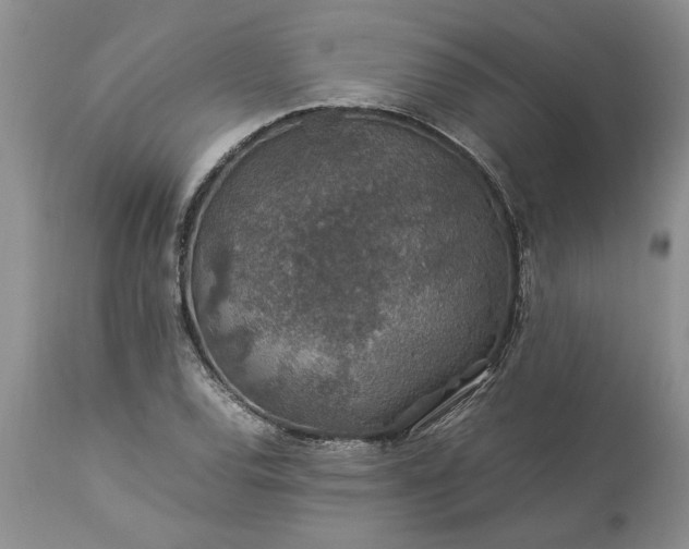 X0000113601120200910021734