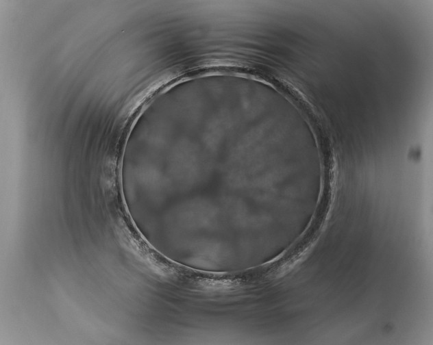 X0000113601121200910021734