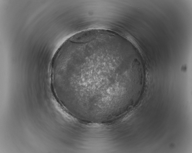 X0000113601124200910021735