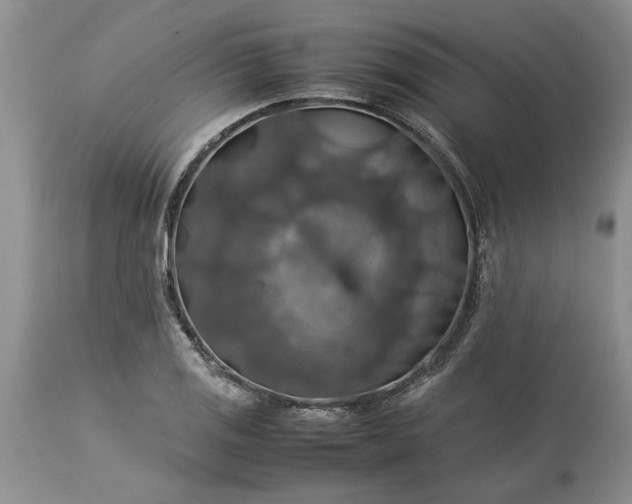 X0000113601125200910021735