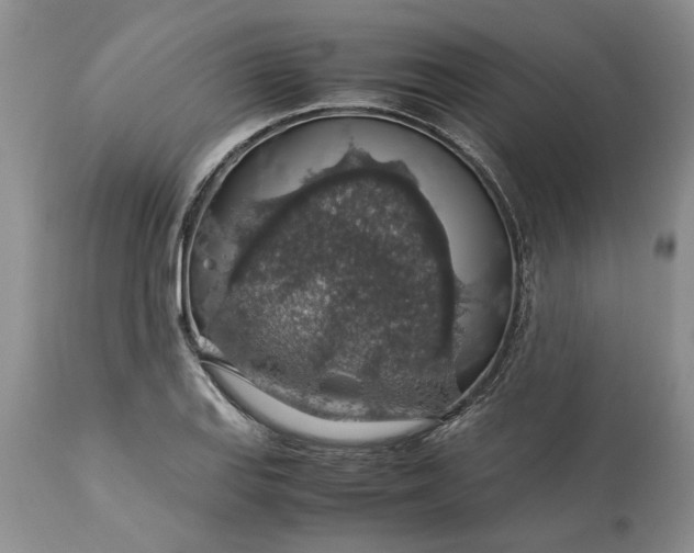 X0000113601127200910021735