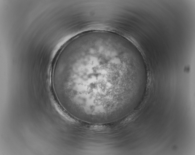 X0000113601128200910021735