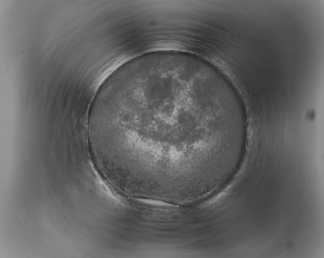 X0000113601129200910021735