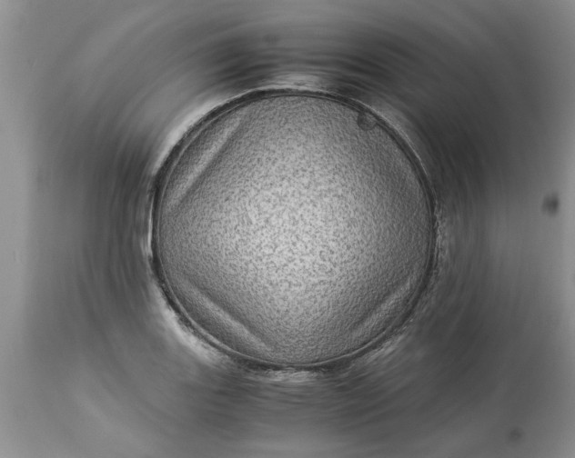 X0000113601131200910021735