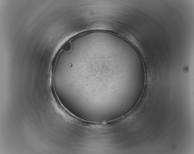 X0000113601132200910021735