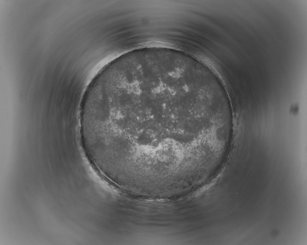 X0000113601133200910021735