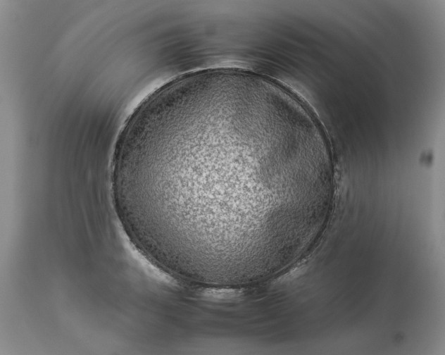 X0000113601135200910021735