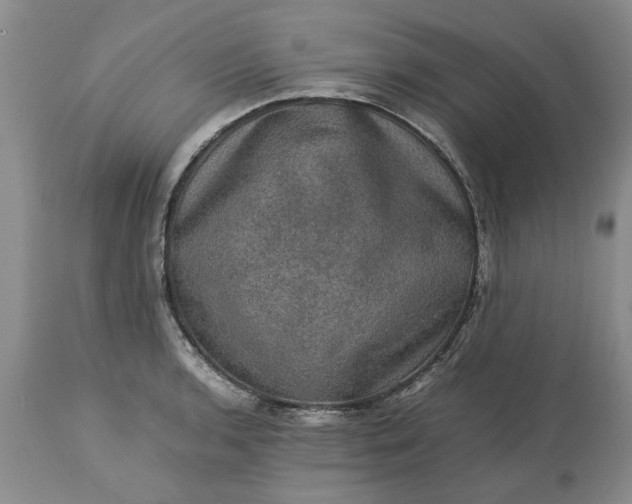 X0000113601136200910021735