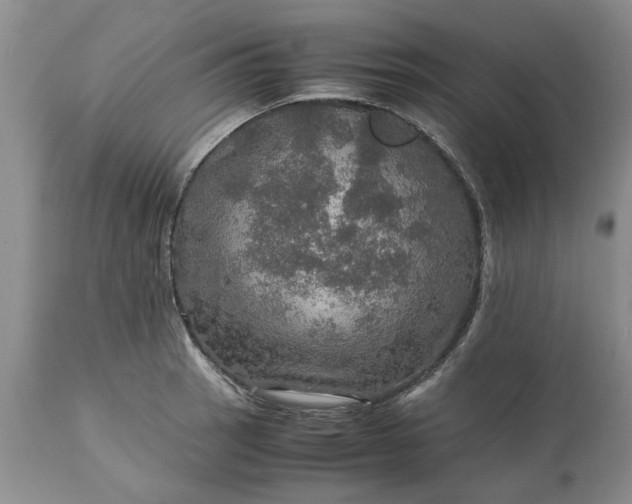 X0000113601137200910021735