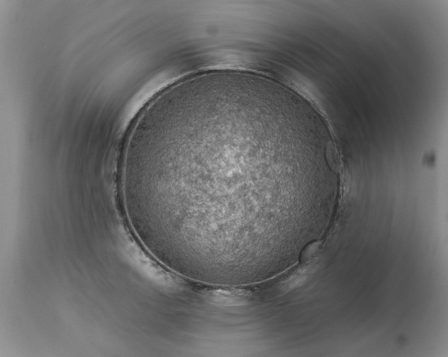 X0000113601138200910021735