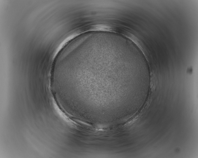 X0000113601139200910021735