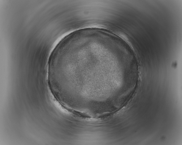 X0000113601140200910021735