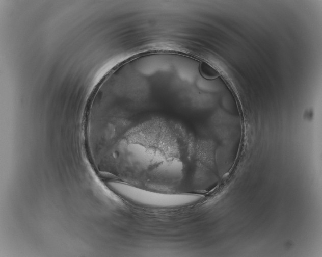 X0000113601141200910021735