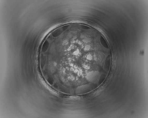 X0000113601142200910021735