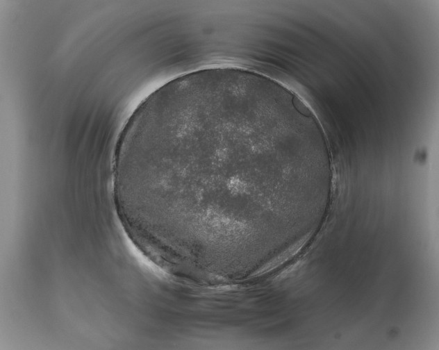 X0000113601143200910021735